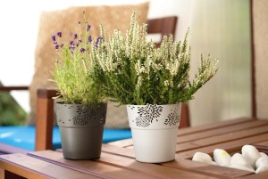 zdj_1444 Jan. 30 08.55.jpg