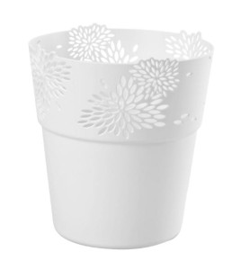 zdj_1446 Jan. 30 09.01.jpg