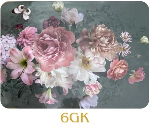 6GK.png