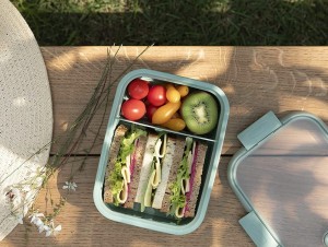 Lunch box pojemnik na żywność podwójny Smart Eco 0,6L + 0,3L wewnątrz kanapki i owoce z warzywami.